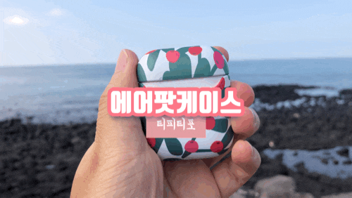 에어팟케이스 득템 티피티포 예뻐
