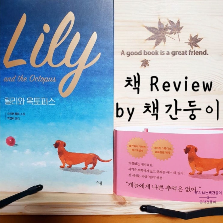  소설 책 추천 <릴리와 옥토퍼스>, 사랑하는 개와 보내는 일주일