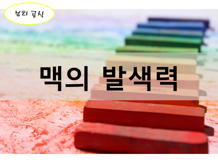  맥 비주얼 컬렉션 아이섀도우의 득템30가지