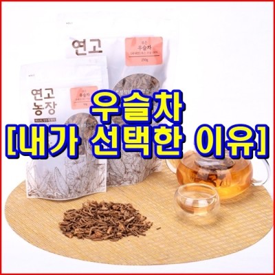  우슬차 [내가 선택한 이유]
