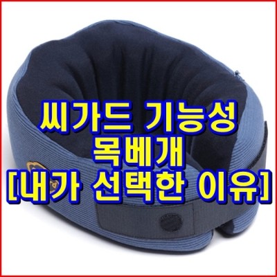  씨가드 기능성 목베개 [내가 선택한 이유]