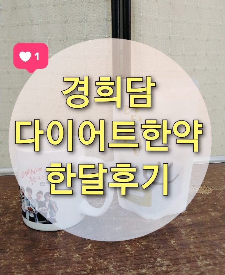  [경희담 다이어트 한약] 한달후기 총 - 5.2kg 감량 (목표체중 감량성공)