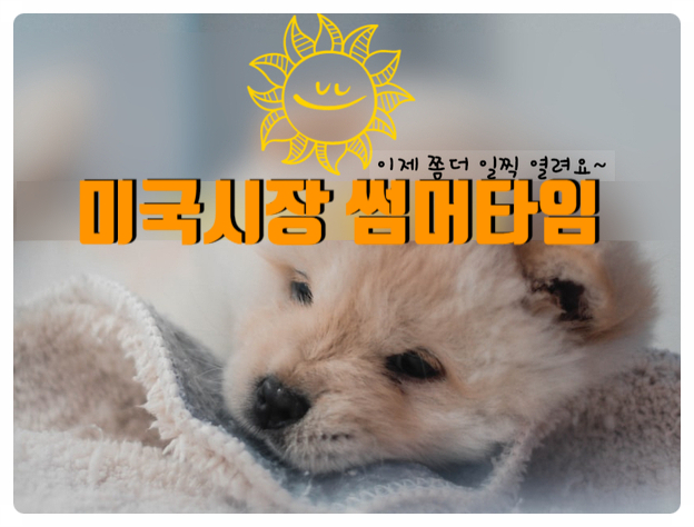  2020 미국주식 썸머타임시간 안내