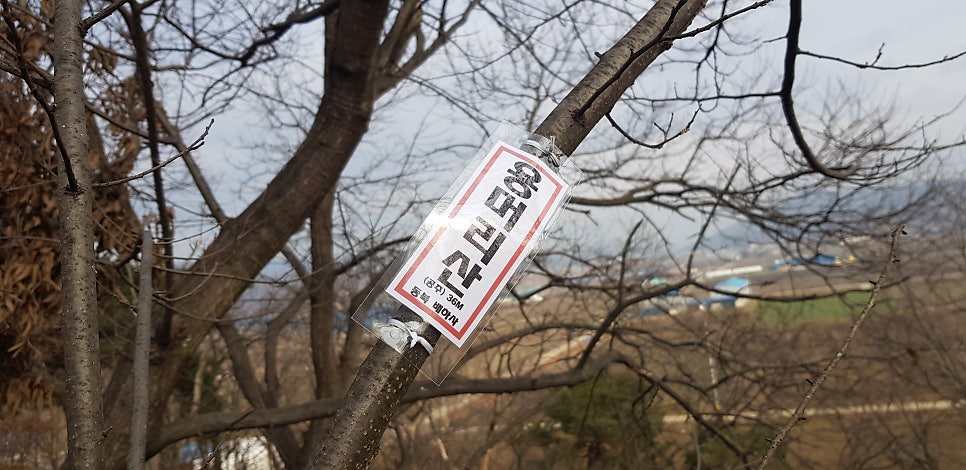 용머리산 사진 3