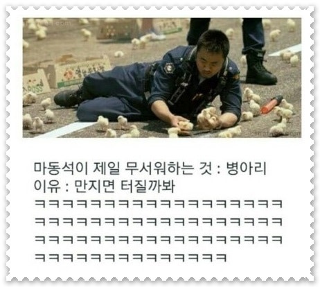 마동석,마요미 시동 짤[34]