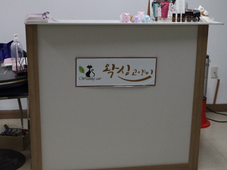  [신도림 피부관리]'왁싱고양이'에서 브이라인되는 페이스리프팅 관리받자