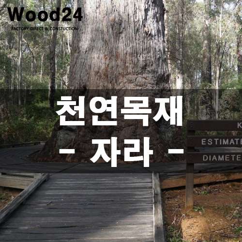  천연목재 알아보기 - 자라(Jarrah)