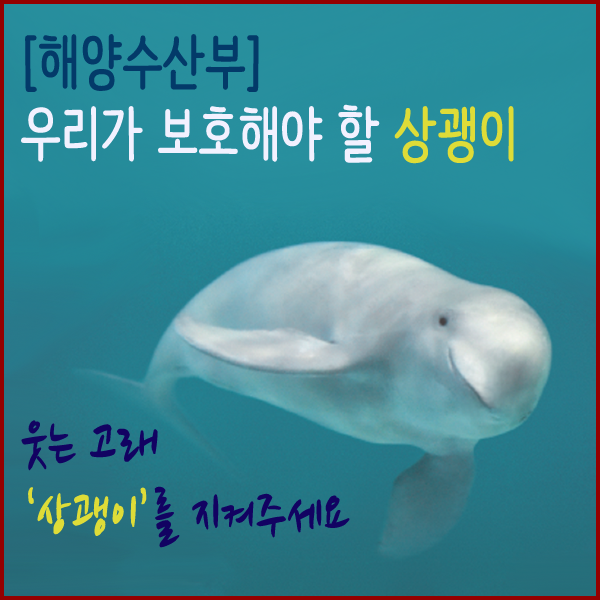  [해양수산부] 웃는 고래 ‘상괭이’를 지켜주세요