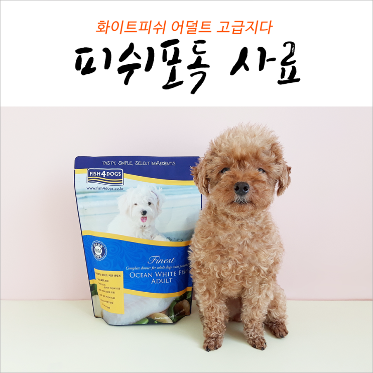  피쉬포독 화이트피쉬 어덜트 고급지다