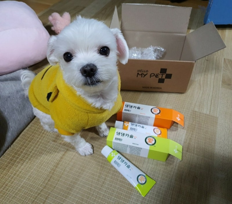 [강아지 피부연고] 헬로마이펫 댕댕카솔 새살 솔솔 ♡