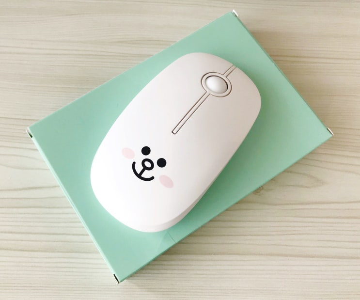 라인프렌즈 무선 마우스 로이체 Line Friends wireless mouse