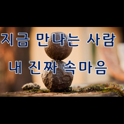  타로리딩 지금 만나는 사람, 내 진짜 속마음