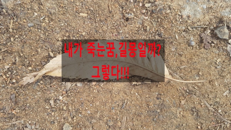 내가 죽는 꿈해몽 가족 엄마 아버지 어머니 아내 남편 자식 친구 지인 사람