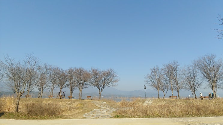 경기 광주 팔당 물안개공원 추천 장소 둔덕 벤치 있는 풍경 뷰