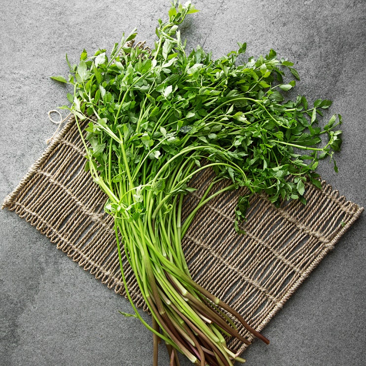 (로켓배송)친환경인증 청도 미나리, 400g, 1봉 추천해요 (로켓배송)친환경인증 청도 미나리, 400g, 1봉 추천해요