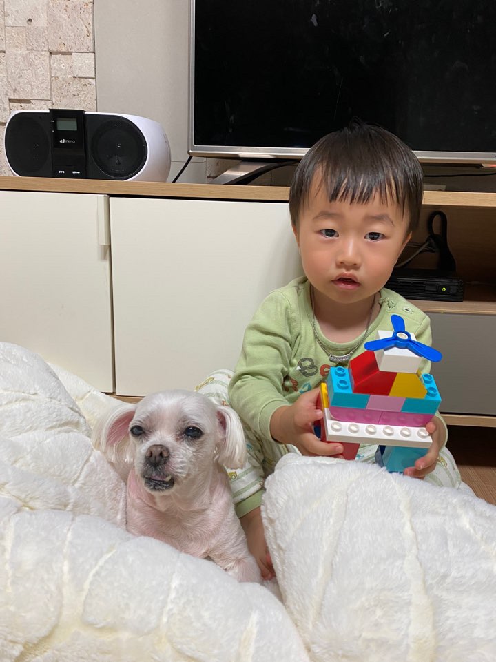  나무아빠의 육아일기(96)
