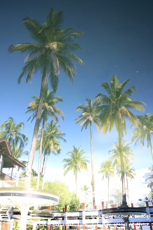  [카오락] 센티도 그레이스랜드 카오락 리조트(Sentido Graceland Khao Lak Resort) - 바현거천