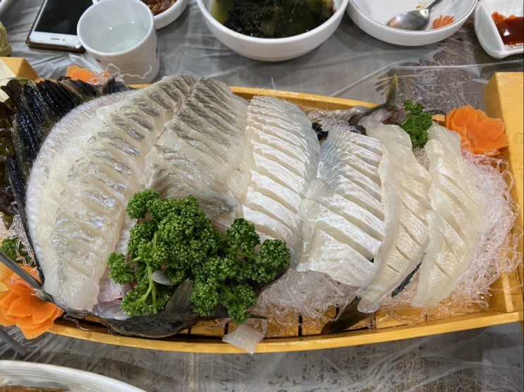  가성비 최고인 속초(동명항충청도횟집)자연산도다리와놀래미흡입!!!