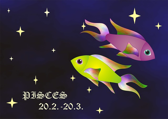  오늘의 운세 2020년 3월 8일 일요일 별자리운세