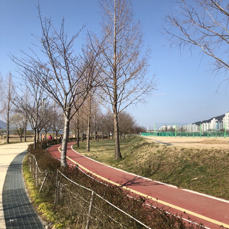  부산 화명생태공원에서 산책도 하고 자전거도 타고