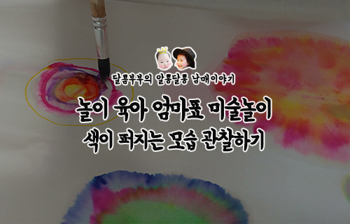  엄마표 미술 놀이/집콕놀이::색이 퍼지는 모습 관찰하기