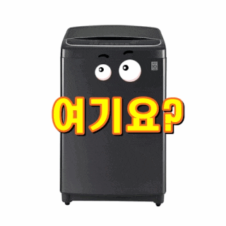  LG전자 블랙라벨 통돌이 DD모터 세탁기 T20BV 20kg 방문설치[내가선택한이유]