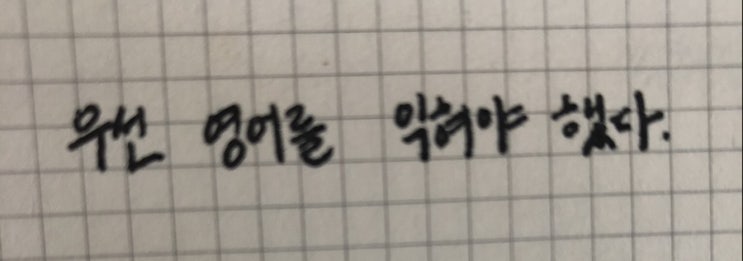  국제 도서주간 필사 릴레이 참여 미션~