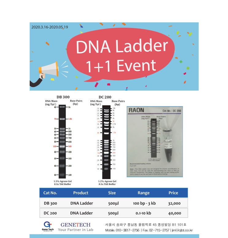 [라온] DNA Ladder