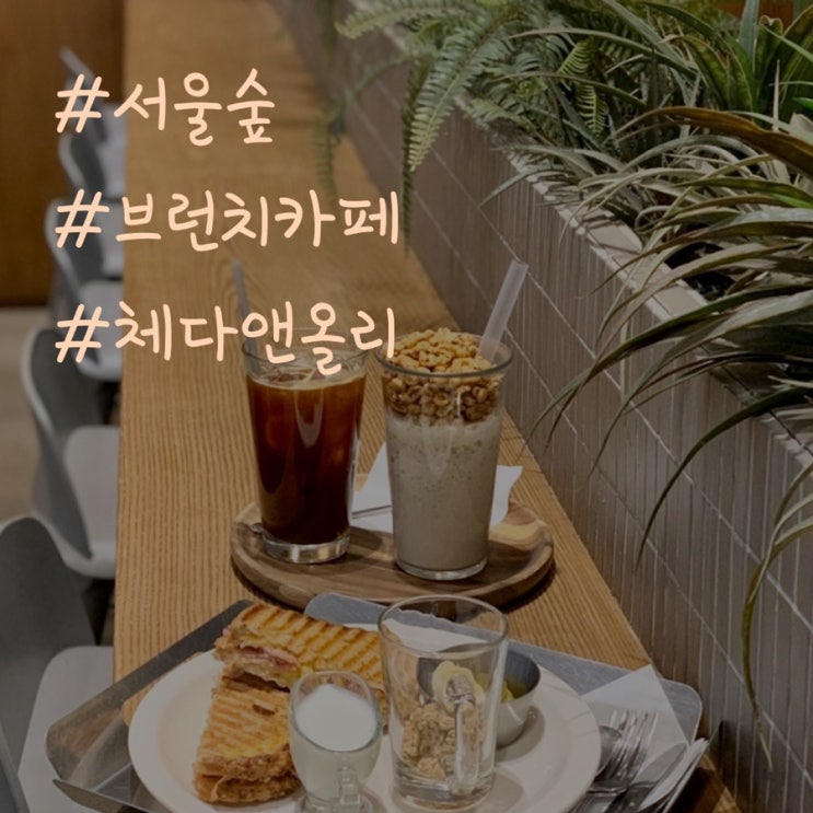 [서울]서울숲 브런치 카페/체다 앤 올리 조리퐁라떼 마시쩡