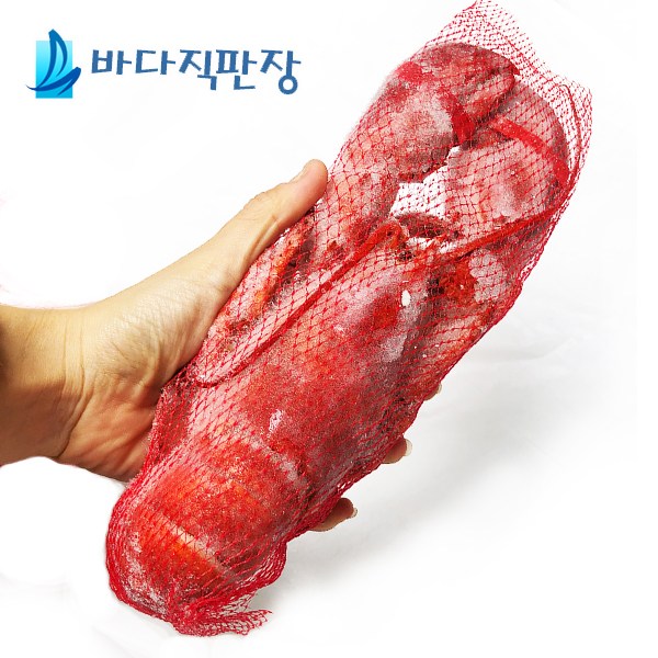  대박난 꿀템 바다직판장 캐나다 자숙랍스터 350400g 1박스 1113마리 보고 결정해도 늦지 않아요~