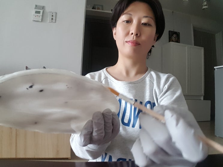  집콕 중인 생활에 사회적 거리두기를 위해 집에서 즐길거리 찾기!