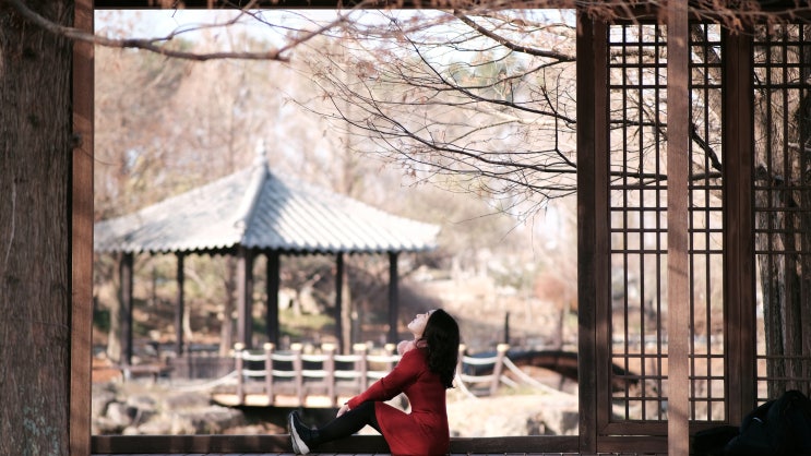 12월에 방문한 한국도로공사 전주수목원