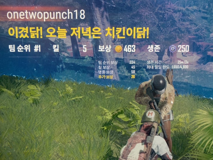  소소하지만 행복한것은 치킨