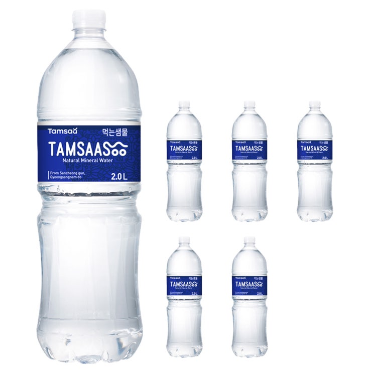  쿠팡 브랜드 - 탐사수, 2L, 6개