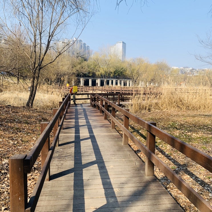 [일상주말]서울숲 정수수목원 : 봄나들이 하기 좋은 공원