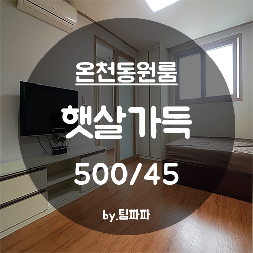 [부산 동래/온천동] 동래역 가성비 갑!! 풀옵션 원룸 햇살가득 월세