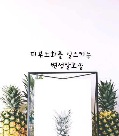  [화장품성분] 피부를 건조하게 만드는 변성알코올