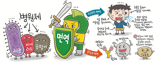  은행동 PT 면역력(선천성 면역, 후천성 면역)
