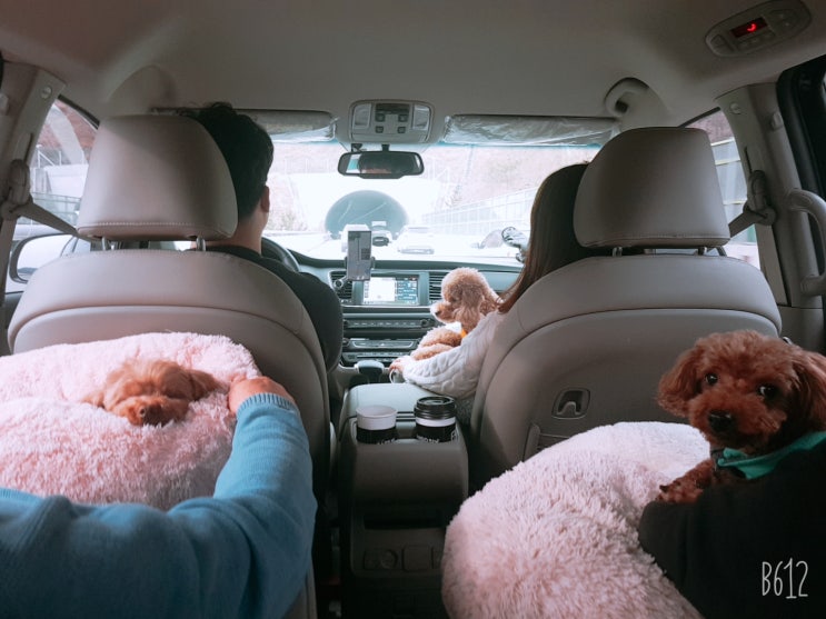  광나루곱창전골 /광진구곱창/아차산냉면/서울회냉면/장안동닭갈비/동대문구닭갈비/용마산맛집/핀란드 파제르 밀크 초콜릿