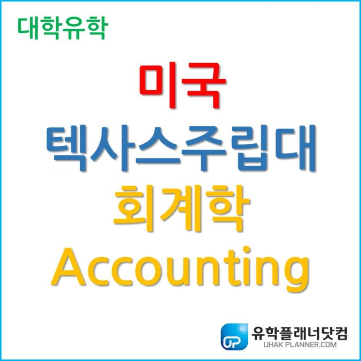 [미국 대학 유학] 텍사스주립대 회계학 Accounting