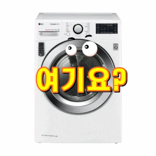  LG전자 트롬 건조기 14kg 방문설치[내가선택한이유]