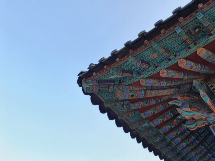  대구 근교 드라이브하기 좋은 '운문사' 다녀오다