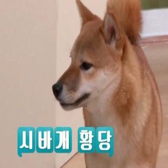  서해안 대표 철도! 서해선 복선 전철에 대한 국토교통부의 결정은?(신안산선과의 철도 공유 여부)