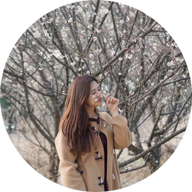 대구산책로 팔공산 둘레길 북지장사 매화꽃 구경~