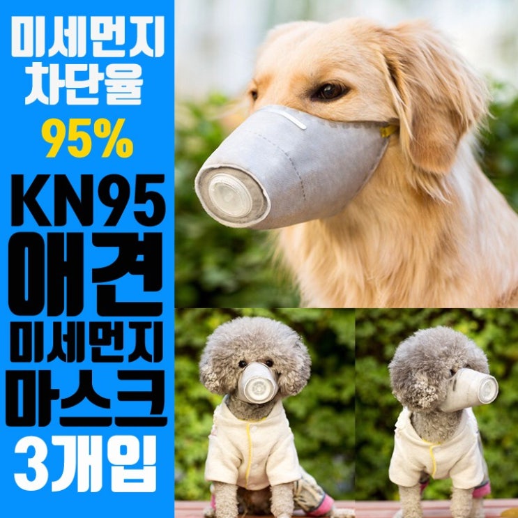 마스크, 손세정제 : KN95 미세먼지바이러스강아지마스크 3개입황사 M중 : 코로나19 방지 마스크, 손세정제 : KN95 미세먼지바이러스강아지마스크 3개입황사 M중 : 코로나19 방지