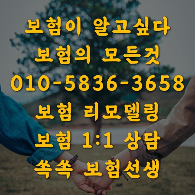 보험리모델링 / 보험보장분석 / 보험사후관리 / 보험담당자 변경 보험리모델링 / 보험보장분석 / 보험사후관리 / 보험담당자 변경