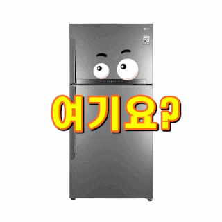 LG전자 일반 냉장고 592L 샤인 방문설치[내가선택한이유]