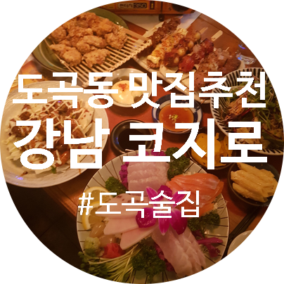 도곡동맛집 매봉역술집 추천 : 강남 코지로