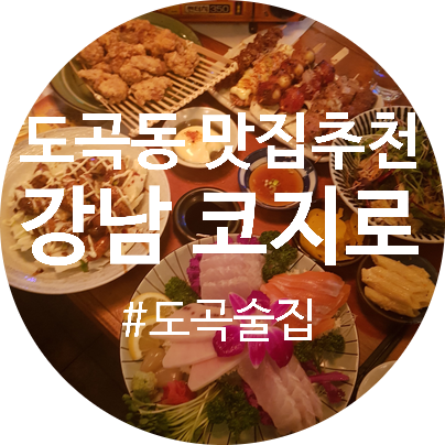 도곡동맛집 매봉역술집 추천 : 강남 코지로 도곡동맛집 매봉역술집 추천 : 강남 코지로