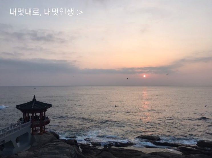  강원도 해안도로 여행 1 - 속초, 양양(영금정 해돋이 / 동호해변  /바다지기 카페 / 하조대 )
